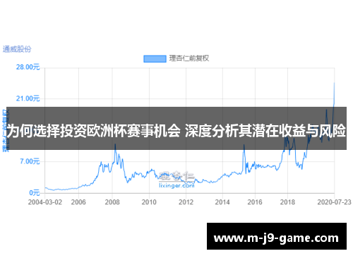 为何选择投资欧洲杯赛事机会 深度分析其潜在收益与风险