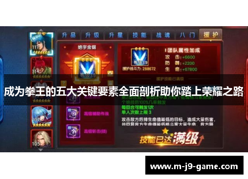 成为拳王的五大关键要素全面剖析助你踏上荣耀之路