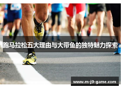 跑马拉松五大理由与大带鱼的独特魅力探索