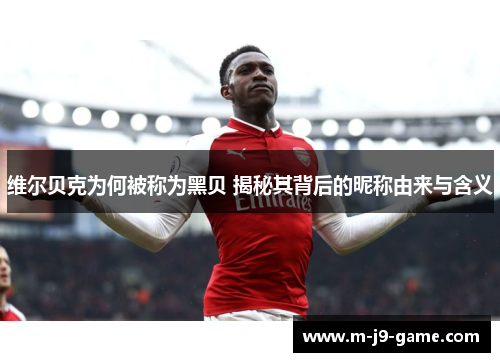 维尔贝克为何被称为黑贝 揭秘其背后的昵称由来与含义