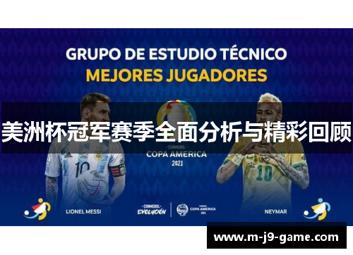 美洲杯冠军赛季全面分析与精彩回顾